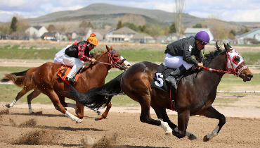 More Info for Pocatello Downs Horse Racing